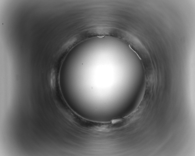 X0000098120120200804111123