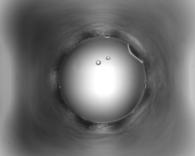 X0000098120121200804111123