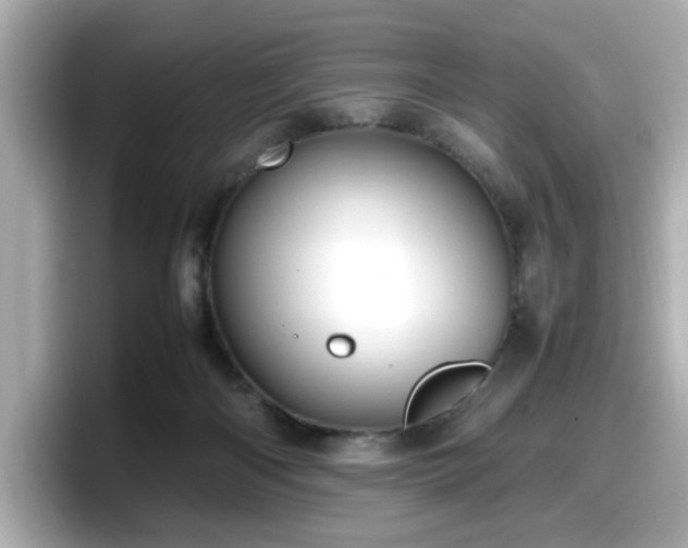 X0000098120122200804111123