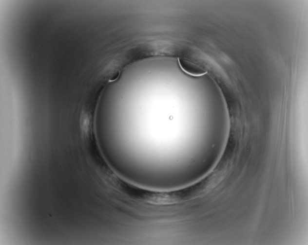 X0000098120123200804111123