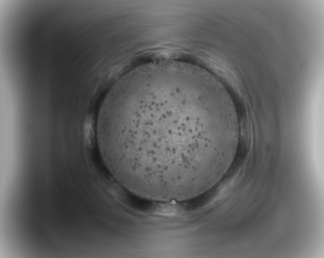 X0000098120127200804111123
