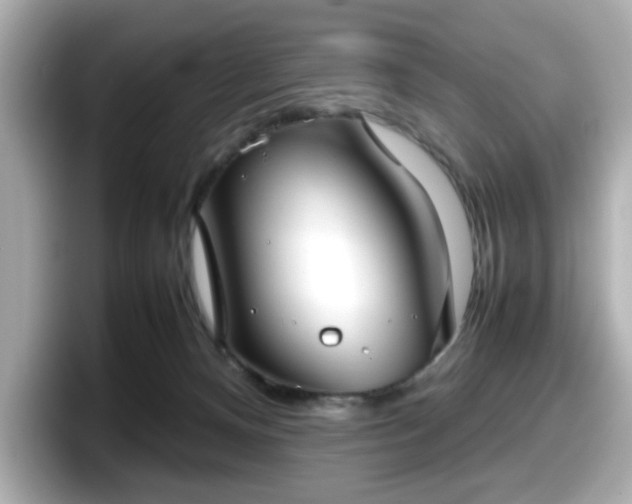 X0000098120128200804111123