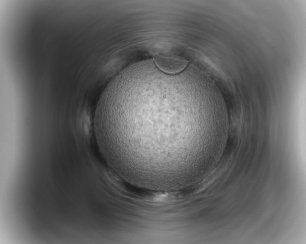X0000098120130200804111123