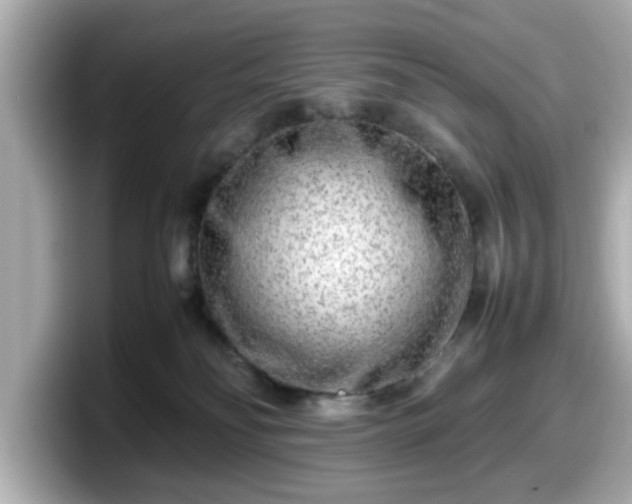 X0000098120134200804111123