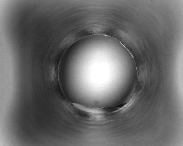 X0000098120140200804111123