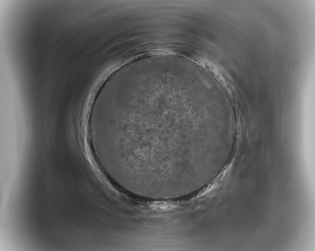 X0000098120145200804111122