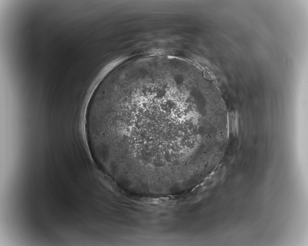 X0000098120147200804111122
