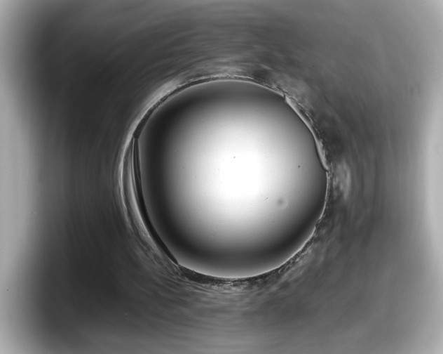 X0000098120148200804111122
