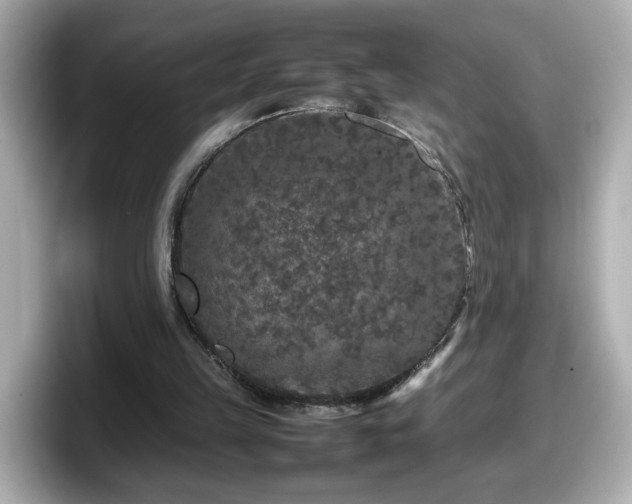 X0000098120149200804111122