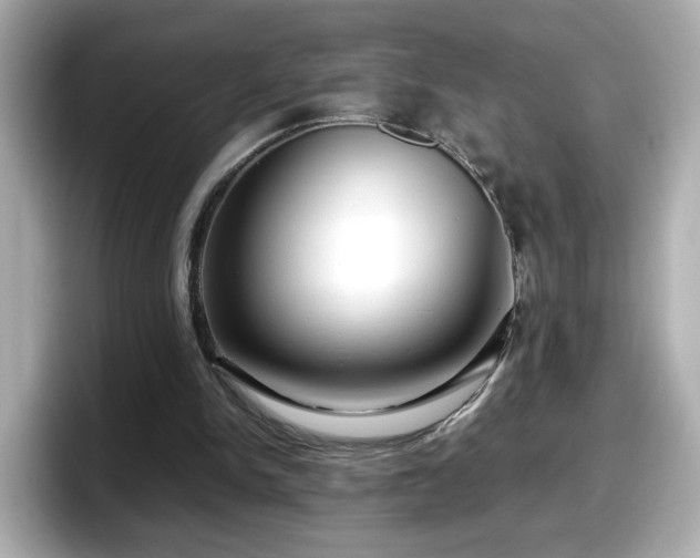 X0000098120150200804111122