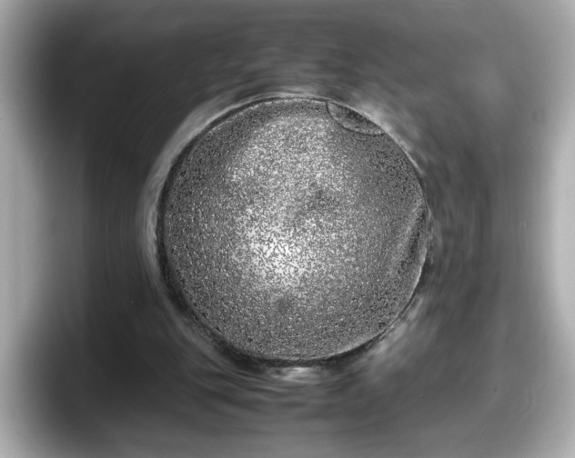 X0000098120151200804111122