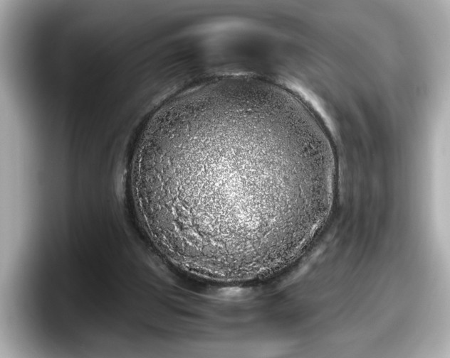 X0000098120153200804111122