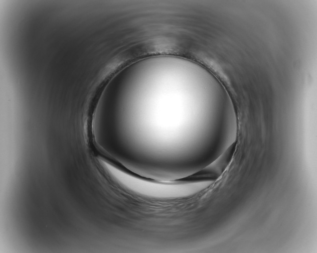 X0000098120154200804111122