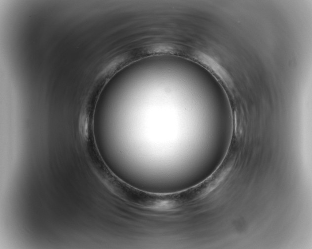 X0000098120157200804111122