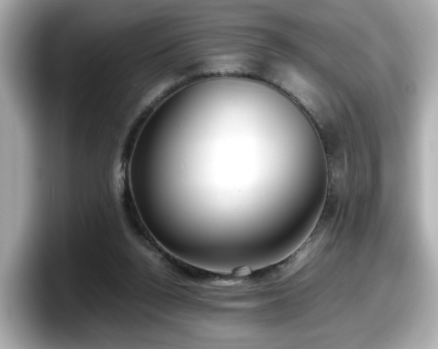 X0000098120160200804111122