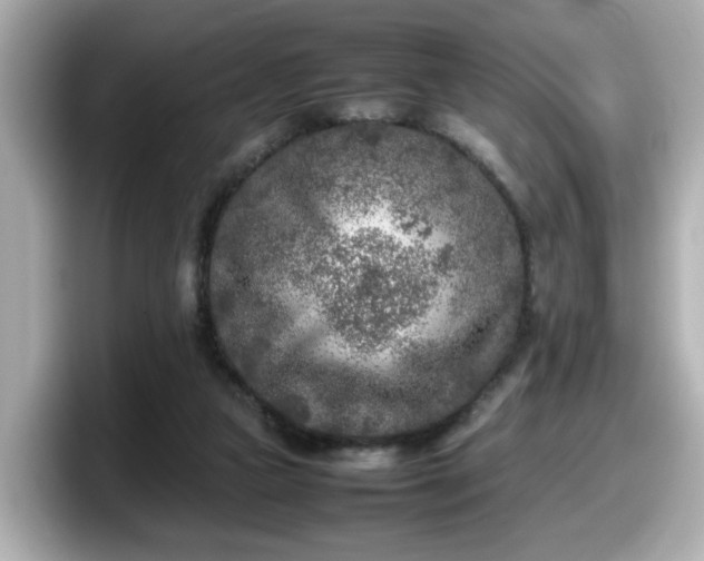X0000098120161200804111122