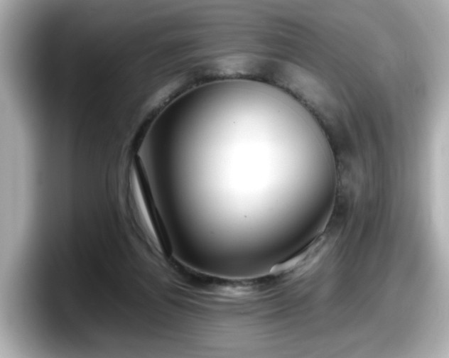 X0000098120164200804111122