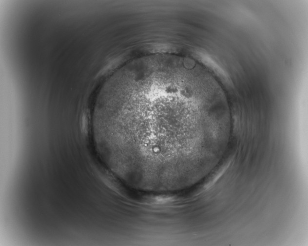X0000098120165200804111122