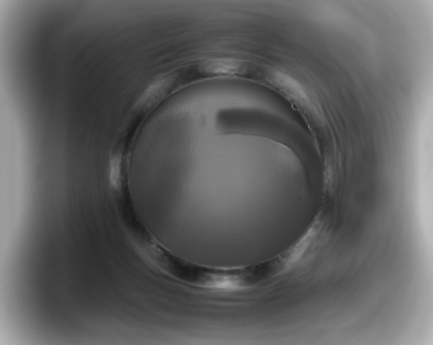 X0000098120167200804111122