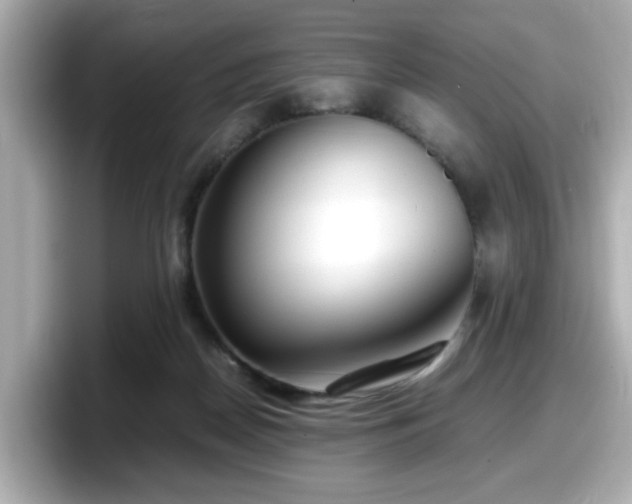 X0000098120170200804111122