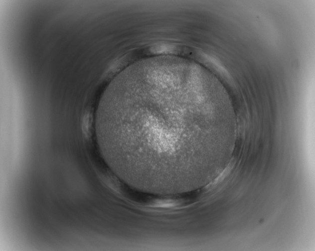 X0000098120171200804111122