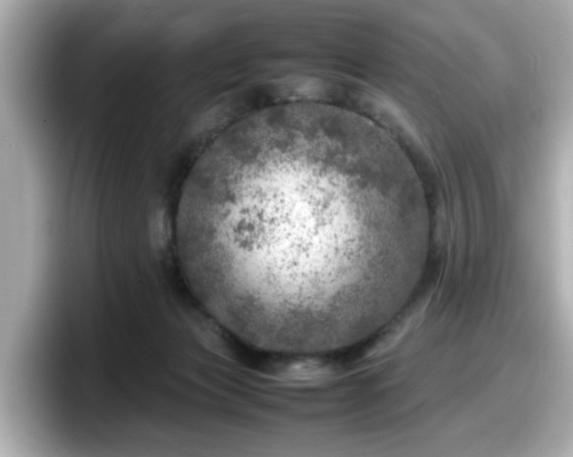 X0000098120173200804111122
