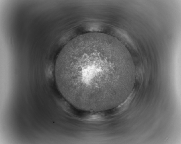X0000098120175200804111122