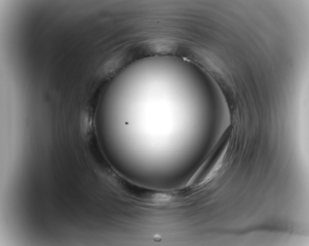 X0000098120176200804111122