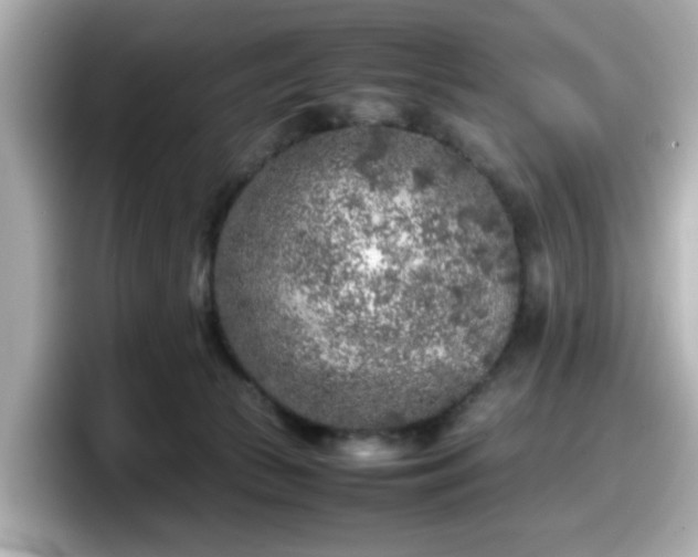 X0000098120177200804111122