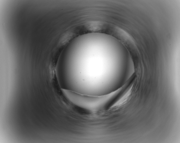 X0000098120180200804111122