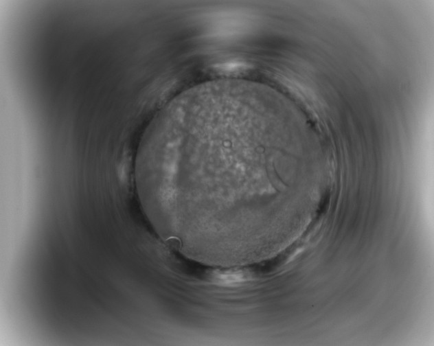 X0000098120181200804111122