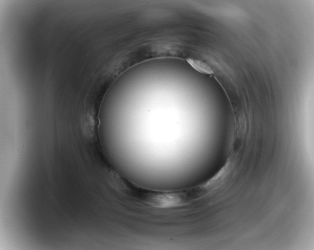 X0000098120183200804111122