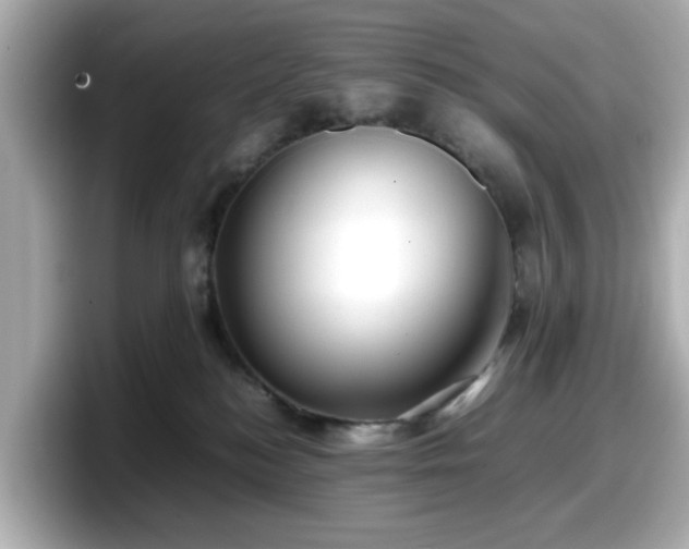 X0000098120184200804111122