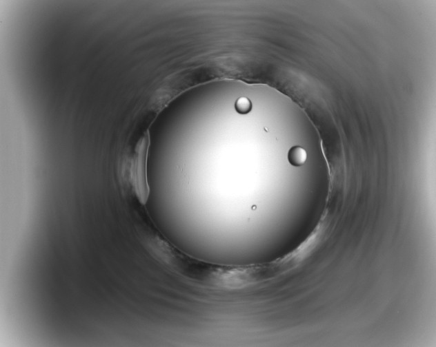 X0000098120186200804111122