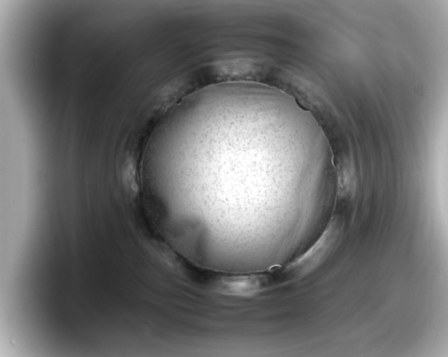 X0000098120187200804111122