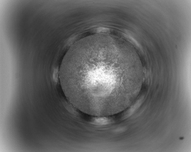 X0000098120189200804111122