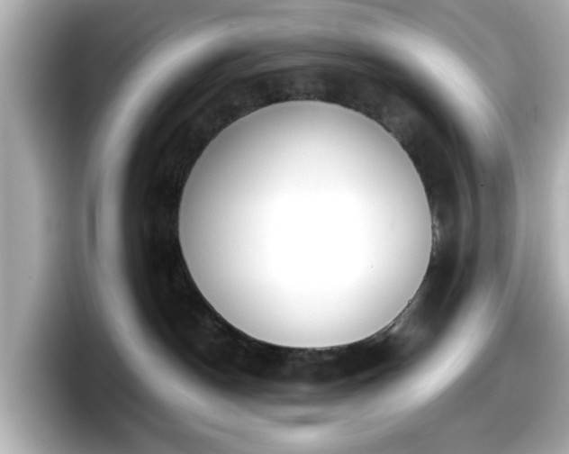X0000098120190200804111122