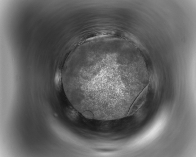X0000098120191200804111122