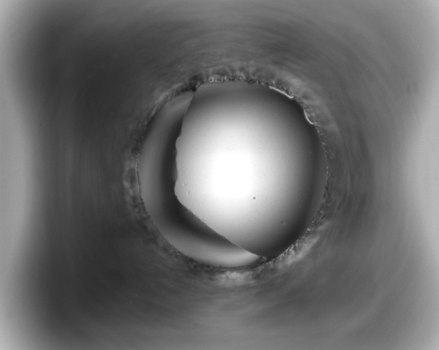 X0000098120192200804111122