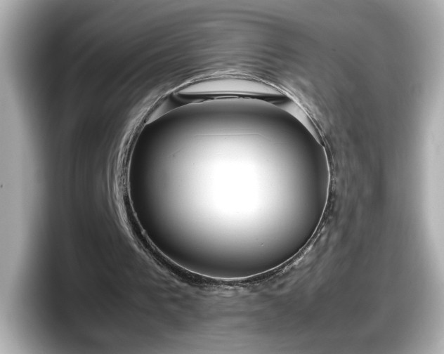 X0000098120193200804111122