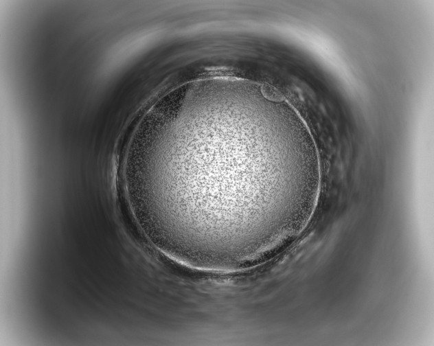 X0000098120194200804111122