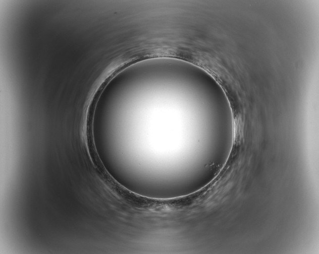 X0000098120195200804111122