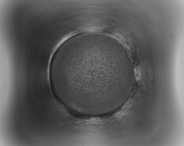 X0000098120196200804111122