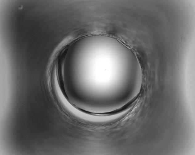 X0000098120197200804111122