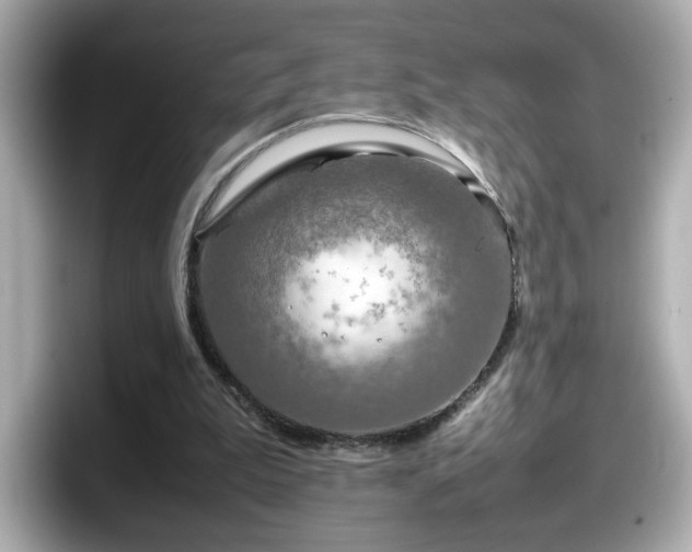 X0000098120199200804111122