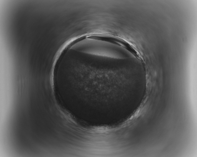 X0000098120200200804111122