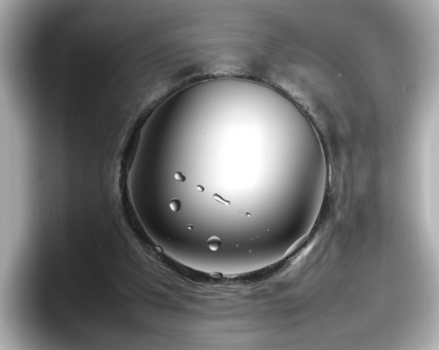 X0000098120201200804111122