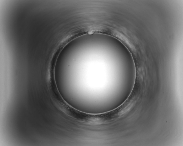X0000098120203200804111122