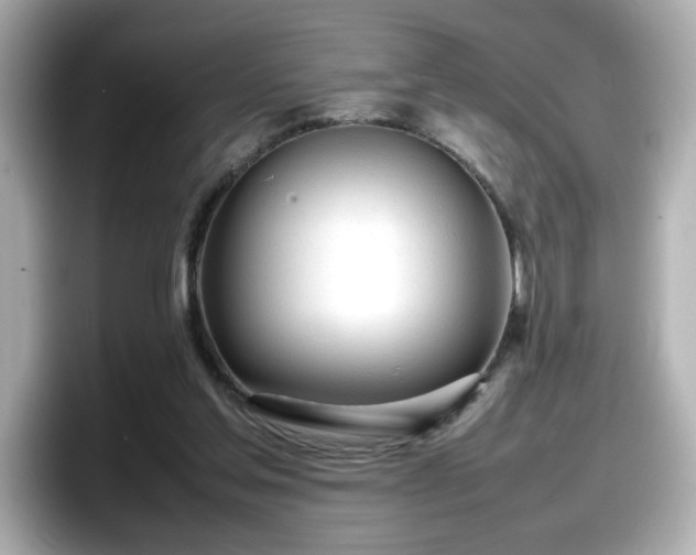 X0000098120205200804111122