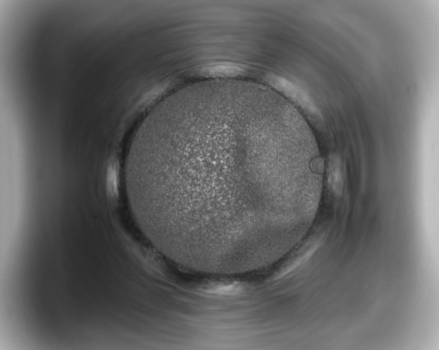 X0000098120206200804111122